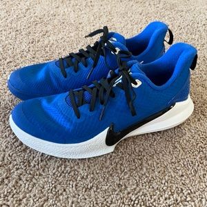 Nike Mamba Focus TB Kobe Bryant basketball shoes